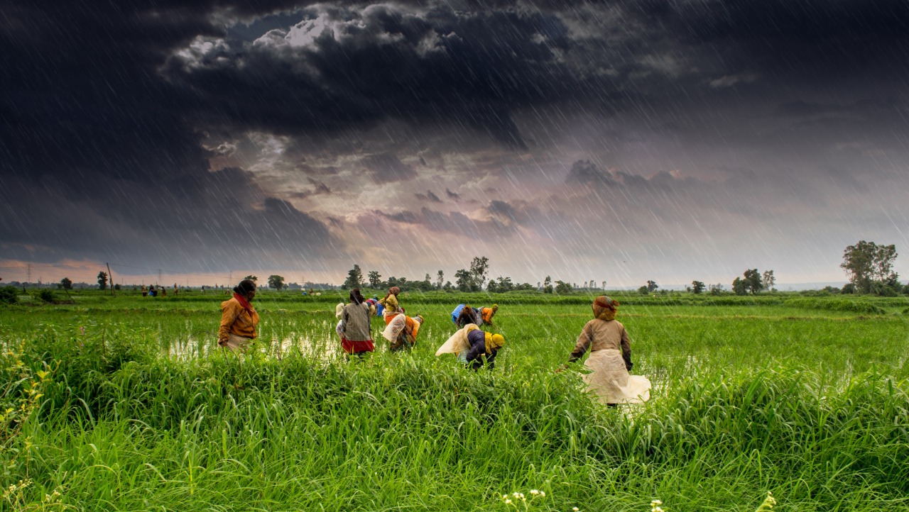Indian farmers empowerment